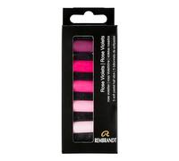 Rembrandt Professionnel Pastel Doux Set Rose Pastels | 5 Demi-Pastels