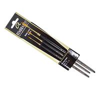 Rembrandt Watercolour Red Sable 3 Brush Set Series 110