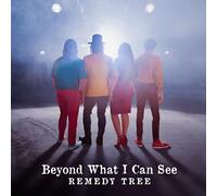 Remedy Tree - Remedy Tree - Beyond What I Can See, Bluegrass Album, 10 Tracks, Audio CD