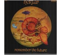 Remember The Future [Vinyl LP]