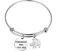 Remember Who You are Bracelet Inspired Bangle Lion Gift for Friend