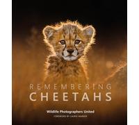 Remembering Cheetahs