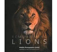 Remembering Lions