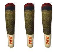 Remingtape 3X DrôLes pour Chiens - en Peluche GrinçAnts pour Moyens et Petits - Cadeaux Mignons en Peluche Cool pour l'anniversaire de Chien