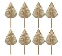 Remingtape 8 Pièces Feuilles de Palmier Séchées éVentails de Palmiers Séchés Bohème Lances de Palmier Séchées Plantes Artificielles Feuilles de Palmier Feuilles de Palmier Tropicales
