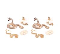 Remingtape 8X Animal réaliste Cycle de croissance Modèle Jouet Serpents Croissance Cycle de croissance Modèle Cycle de croissance Cycle de croissance