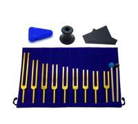 Remingtape Lot de 9 diapasons pour chakra musical, thérapie sonore, pour garder votre corps, votre et votre âme en parfaite harmonie