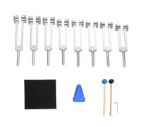 Remingtape Lot de diapasons pour chakras 7 chakras + 1 diapason pour tâche de l'âme, diapasons lestés pour méditation, yoga, guérison par le son, argent