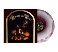 Remnants of the Vessel