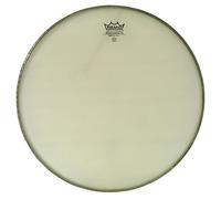 RA-1024-ss - Renaissance Ambassador 24''