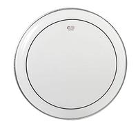 Remo EN-0316-PS Encore Pinstripe Peau de batterie transparente 16"