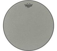 RA-0016-ss Renaissance Ambassador 16