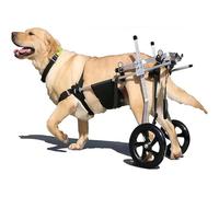 Remorque de vélo et fauteuil roulant pour chien, dispositif de rééducation de patte arrière réglable pour animaux handicapés