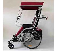 Remorque De Vélo Fauteuil Roulant Adulte Vélo Alliage D’Aluminium Remorque Arrière Absorption des Chocs Tracteur Confortable Chariot Multifutiol, Red