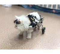 Remorques vélo Fauteuil Roulant pour Petit Chien, Chariot pour Chien âgé Handicapé Animaux Assisté Voiture Marche, Traitement Jambe Arrière/Patte Arrière Réparation Postopératoire