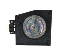 Remplacement D95-LMP/23311153 for 46HM85 46HMX85 52-HM95 52 HM95 52HM95 52HM85 52HM85