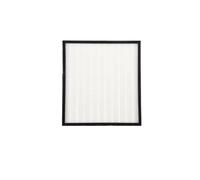 Remplacement De Filtre HEPA Compatible For Sharp FZ-F30HFE | A38T-1Pcs, 310X280mm