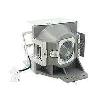 remplacement de la lampe de budgétaire RLC-079 pour VIEWbly IC PJD7820HD VS14937 PJD7822HDL 210/0.8 E20.9n- lamp with housing