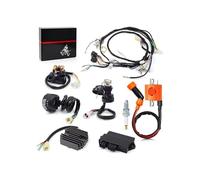 Remplacement du boîtier CDI Faisceau de câbles bobine d'allumage interrupteur guidon gauche allumeur relais CDI redresseur Kit complet pour pour Warrior YFM 350 X