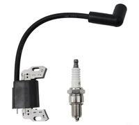 Remplacement pour bobine d'allumage, carburateur remplace la pièce obsolète compatible avec 799582 798534 593872 595009 596532 divers moteurs
