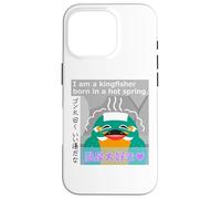 Ren-World 58 Hot Springs, Loving Birds, Kingfisher, Gonta, Relaxed, Cute, Smiling, Always Smiling, Nico Nico et Funya Face Coque pour iPhone 16 Pro