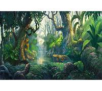 Renaiss 3.5x2.5m Fairyland Tropical Virgin Forest Toile de fond Contes de fées Toile de fond pour la photographie Jungle Sunlight Background Birthday Party Decor Enfants Portrait Shooting Studio Props