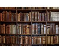 Renaiss 3x2.5m Étagère Toile de Fond Tissu Doux Bibliothèque en Bois Étagère Photographie Fond De Livres Scolaires Collection Livre Magique Étudiants Adulte Artistique Accessoires de Studio Photo