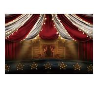 Renaiss 3x2m Cirque La Photographie Toile de Fond Carnaval Spectacle de théâtre Tente Antécédents Nuit de Carnaval Décorations de fête Douche de bébé Séance de Portrait Accessoires Photo