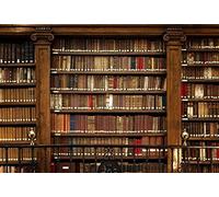 Renaiss 3x2m Étagère en Bois Photographie Fond Bibliothèque École Bibliothèque Toile de Fond Collection de Livres Toile de Fond Étudiants Adultes Portraits artistiques Tir Vinyle Studio Props