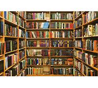 Renaiss 3x2m Étagère en Bois Photographie Toile de Fond Collection de Livres Contexte Bibliothèque de l'école Bibliothèque Toile de Fond Étudiants Portraits artistiques Fond Photo Studio Props