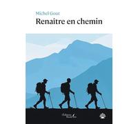 Renaître en chemin - Michel Gout - Baudelaire - broché - Récit