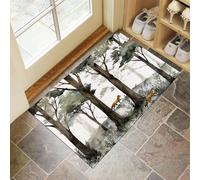 Renard des Forêts Paillasson Interieur Entree 50 X 80 Cm, Style Aquarelle Tapis D'Entrée Antidérapant Et Lavable en Machine, Tapis De Sol Absorbantes Multicolore pour Chien, Porte, Couloir
