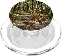 Renard Forest Wildlife Chemin de forêt Motif scène d'animaux PopSockets PopGrip pour MagSafe