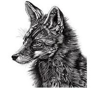 Renard - Fox - Lucy Francis - 30x40cm - AFFICHE G