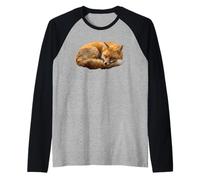 Renard Roux endormi Vulpes Forêt Woodland Wildlife Manche Raglan