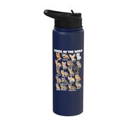 Renards Du Monde Tableau De La Faune De 20 Espèces Fox Art Stainless Steel Insulated Water Bottle