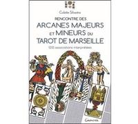 Rencontre des arcanes majeurs et mineurs du Tarot de Marseille - 1232 associations interprétées Colette Silvestre (Auteur)