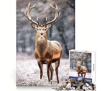 Rencontre en forêt enneigée Puzzle de 1000 pièces pour Adolescents Stimule la mémoire Détente en Douceur Coupe Premium Surprise d'anniversaire (38x52cm)