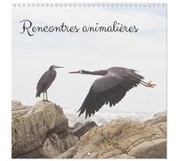 Rencontres animalières Calendrier mural carré 2026 30 x 60 cm (ouvert)) Calendrier double avec une page pour vos prises de notes