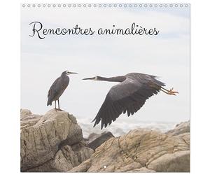 Rencontres animalières (Calendrier mural carré 2026 30x30 cm) Calendrier double avec une page pour vos prises de notes: Photographies animalières prises lors de différents voyages