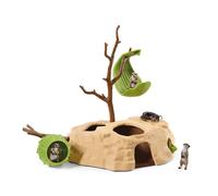 Rendez-vous des suricates