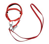 Rêne de bride de cheval - Étrier réglable en nylon rouge, harnais en corde tressée, équipement de sécurité équine durable, réglages de longueur flexibles avec boucles à ajustement rapide | Équipement