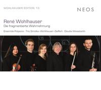 René Wohlhauser: Die Fragmentierte Wahrnehmung
