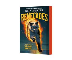 Renegades #1: The Magic Awakens