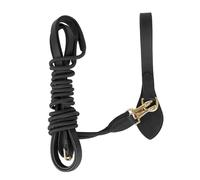 Rênes d'entraînement en cuir for l'entraînement, l'équipement d'aide à l'équitation, l'équipement for chevaux et les accessoires d'entraînement(Black)