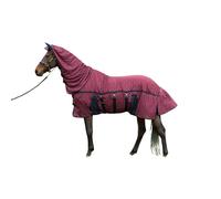 Rênes d'entraînement pour cheval Harry's Horse Noir Full