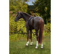 Rênes Longues De Dressage - Long Entraînement Rênes