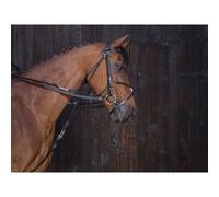Rênes pour cheval de gogue cuir Riding World Noir Cheval