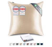 RENESSY Taie d'oreiller en Soie 100% Bio 80x80 cm - 22 Momme Soie de Mûrier, Grade 6A, Certifiée Oeko-Tex en Allemagne - Luxe pour Les Cheveux et la Peau, 1 Pièce (Champagne)