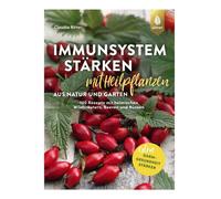 Renforcer le système immunitaire avec des plantes médicinales de la nature et du jardin